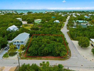 This property includes a transferable development right (TBR) - photo 4
