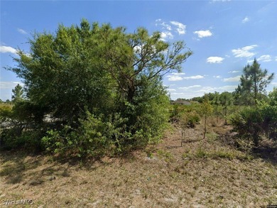 Lehigh Acres Area Lot For Sale in Lehigh Acres Florida