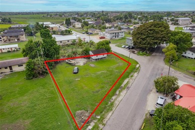 Lake Okeechobee Lot For Sale in Belle Glade Florida