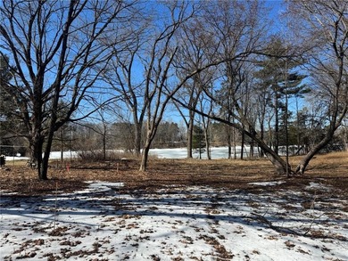 Chain Lake Lot For Sale in North Branch Minnesota