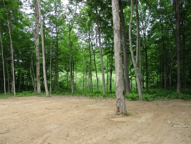 ENJOY THE LOW TAXES WITH ACCESS, NOT FRONTAGE, TO RED CEDAR LAKE - photo 12