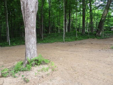 ENJOY THE LOW TAXES WITH ACCESS, NOT FRONTAGE, TO RED CEDAR LAKE - photo 13