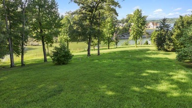 Newly Available lot on Douglas Lake. This .61-acre lot is at the - photo 14