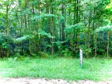 Secluded Wooded Lot - photo 1
