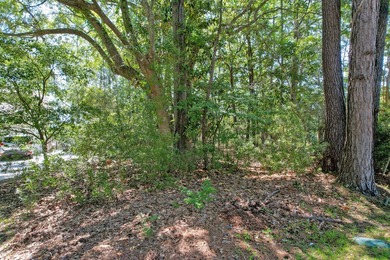 Nestled on a quiet cul de sac in the desirable Canterbury Woods - photo 6