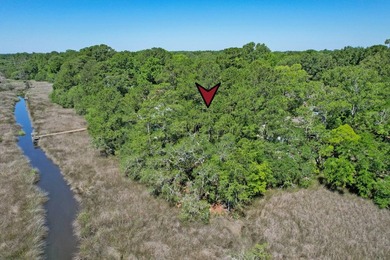 Nestled on a quiet cul de sac in the desirable Canterbury Woods - photo 9