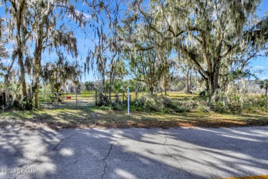 (private lake, pond, creek) Lot For Sale in Deland Florida