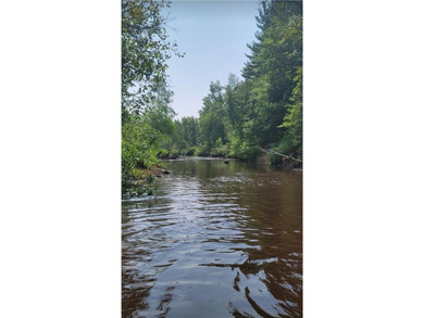 (private lake, pond, creek) Home For Sale in Windemere Twp Minnesota