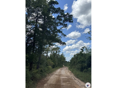 (private lake, pond, creek) Acreage For Sale in Linden Texas