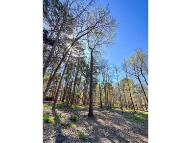 Nestled among gorgeous scattered trees and overlooking the - photo 45