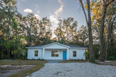 Little Orange Lake Home For Sale in Hawthorne Florida