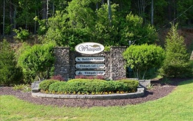Lake Lot For Sale in Ellijay, Georgia