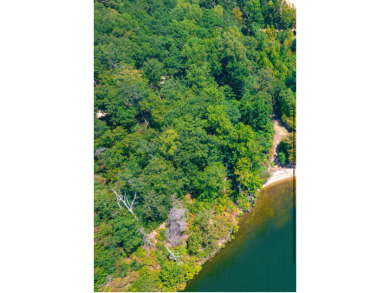 Pickwick Lake Lot For Sale in Waterloo Alabama