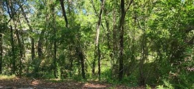 Lake Lot For Sale in Gun Barrel City, Texas