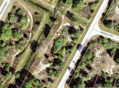 Under contract-accepting backup offers. NO FLOOD ZONE AREA. NICE - photo 1