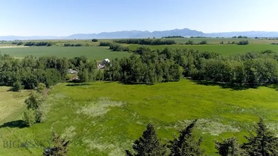 Misty Creek Ranch presents the Creekside lot, 40 acres of - photo 22