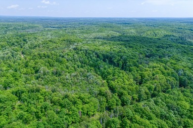 This 80-acre property is situated within the Ottawa National - photo 2