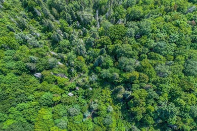 This 80-acre property is situated within the Ottawa National - photo 3