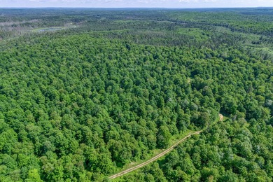 This 80-acre property is situated within the Ottawa National - photo 6