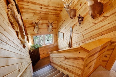 Experience the best of the Dells from your own private log cabin - photo 38