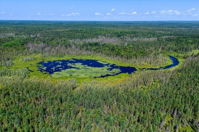 This 80-acre property is situated within the Ottawa National - photo 9