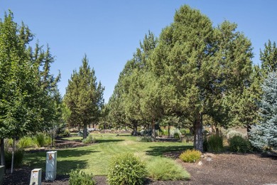 This is your chance to get the last lot available in the Vista - photo 3