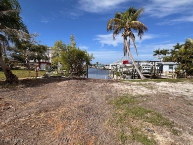 This is the least expensive gulf access lot, without going - photo 4