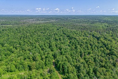 This 120-acre property is situated within the Ottawa National - photo 4