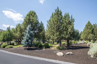 This is your chance to get the last lot available in the Vista - photo 4