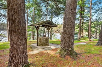 Experience the best of the Dells from your own private log cabin - photo 48