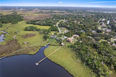 Caloosahatchee River- Citrus County Home Sale Pending in Homosassa Florida