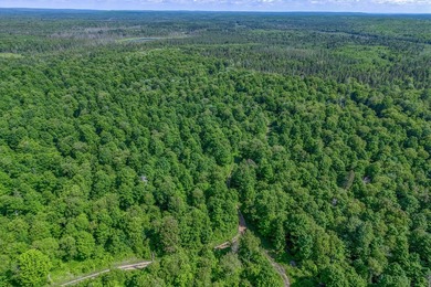 This 240-acre property is located within the Ottawa National - photo 3