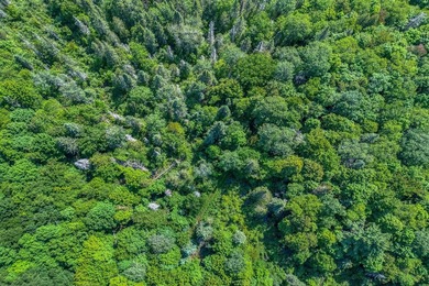 This 240-acre property is located within the Ottawa National - photo 4