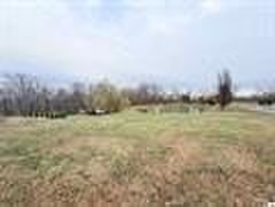 This prime piece of land located in a secluded subdivision - photo 10