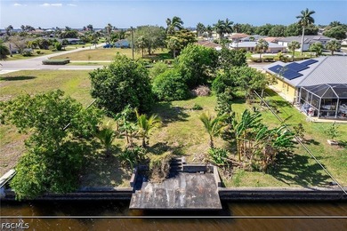 An outstanding opportunity to own a prime Gulf access homesite - photo 3