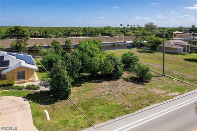 An outstanding opportunity to own a prime Gulf access homesite - photo 5