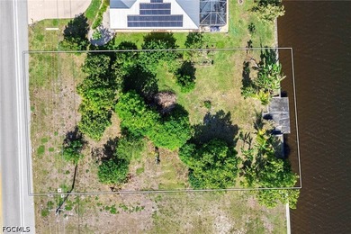 An outstanding opportunity to own a prime Gulf access homesite - photo 7