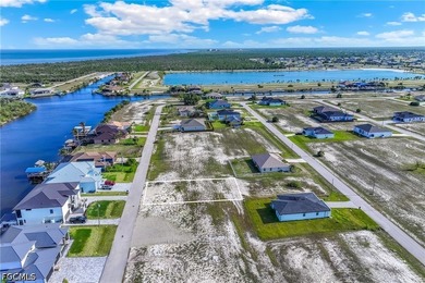 Located in the highly desirable NW Cape Coral area, this lot - photo 3