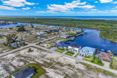 Located in the highly desirable NW Cape Coral area, this lot - photo 4