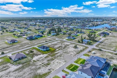 Located in the highly desirable NW Cape Coral area, this lot - photo 8