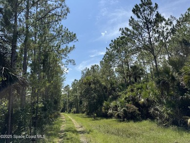 Welcome to your private slice of country paradise. Nestled on 39 - photo 28