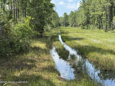 Welcome to your private slice of country paradise. Nestled on 39 - photo 29