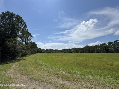 Welcome to your private slice of country paradise. Nestled on 39 - photo 30