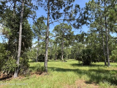 Welcome to your private slice of country paradise. Nestled on 39 - photo 31