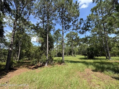 Welcome to your private slice of country paradise. Nestled on 39 - photo 32