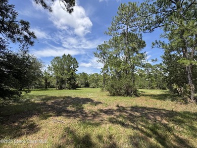 Welcome to your private slice of country paradise. Nestled on 39 - photo 33