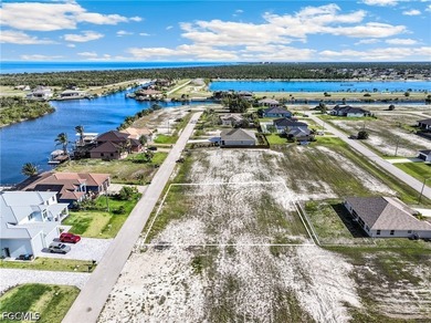 Located in the highly desirable NW Cape Coral area, this tripple - photo 5