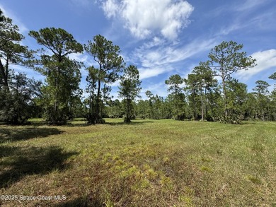 Welcome to your private slice of country paradise. Nestled on 39 - photo 35