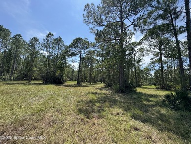 Welcome to your private slice of country paradise. Nestled on 39 - photo 36