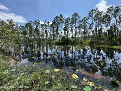 Welcome to your private slice of country paradise. Nestled on 39 - photo 39